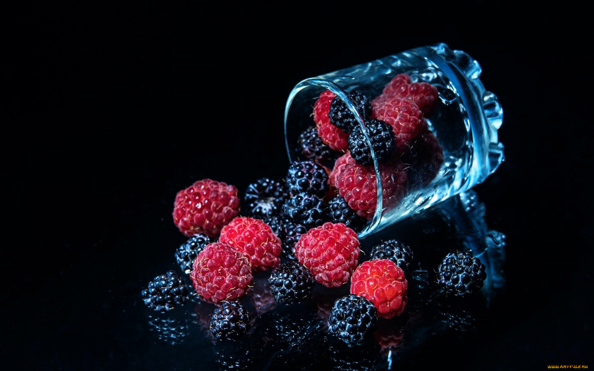 , ,  , , , , 